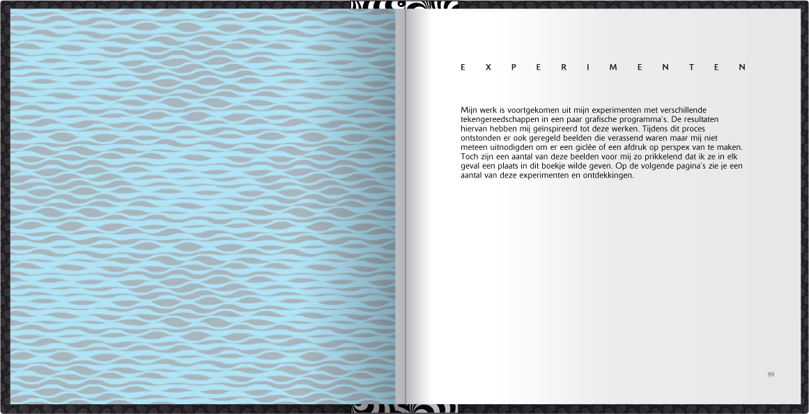 PREVIEW12-EXPERIMENT copy.png